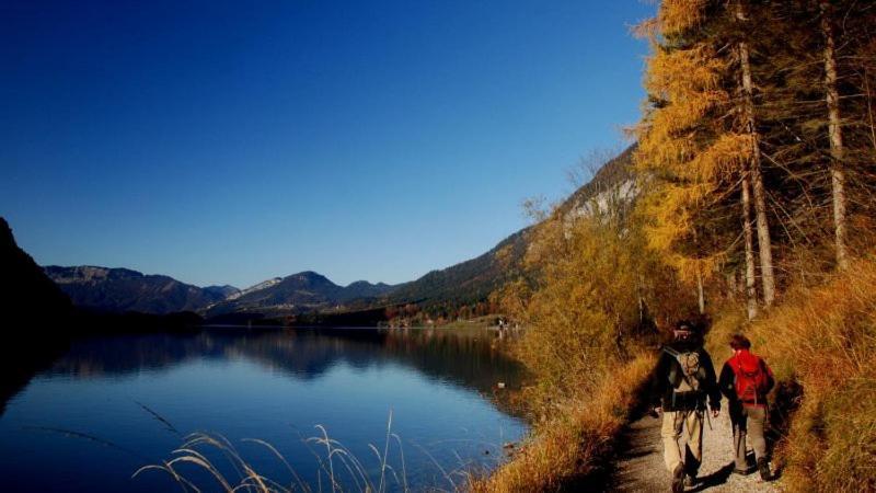 Fewo Atterseeperle - 80M2 Mit See- Und Gebirgsblick Steinbach am Attersee Eksteriør billede