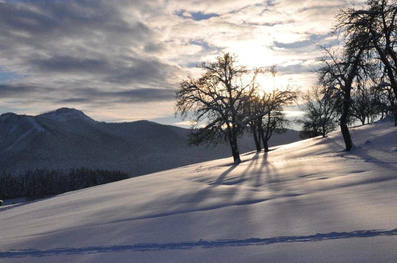 Fewo Atterseeperle - 80M2 Mit See- Und Gebirgsblick Steinbach am Attersee Eksteriør billede