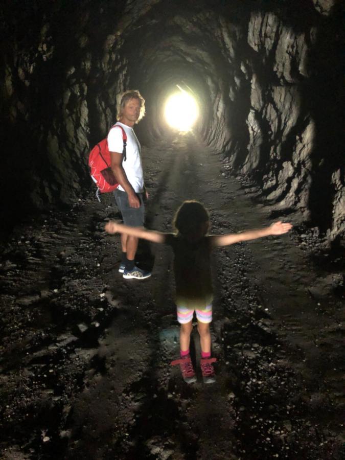 Fewo Atterseeperle - 80M2 Mit See- Und Gebirgsblick Steinbach am Attersee Eksteriør billede