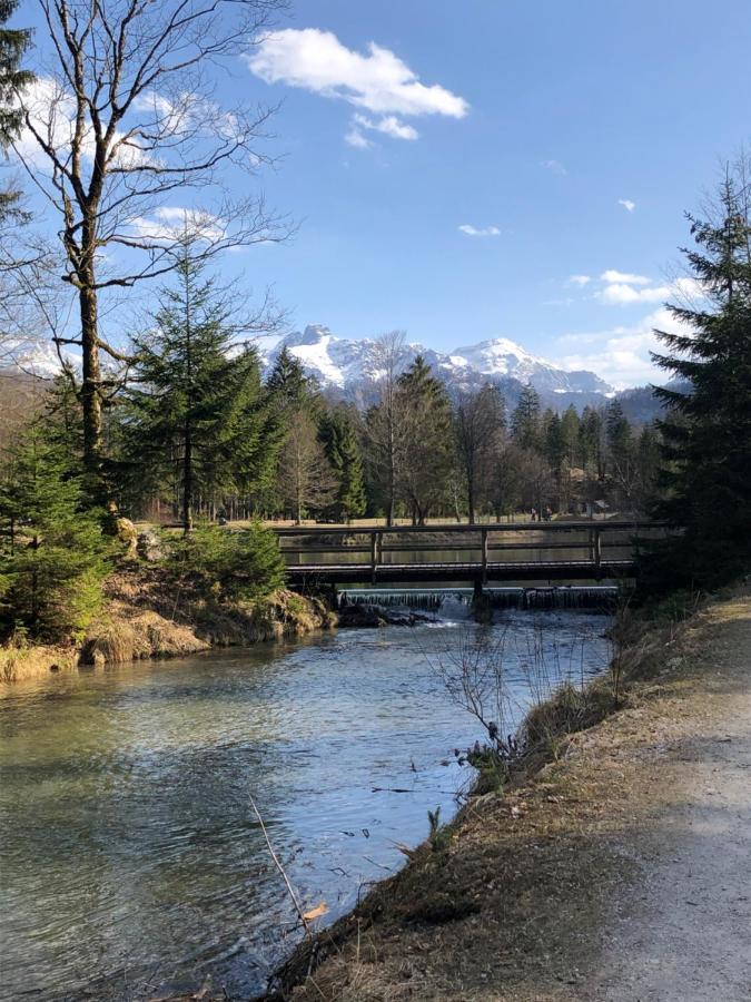 Fewo Atterseeperle - 80M2 Mit See- Und Gebirgsblick Steinbach am Attersee Eksteriør billede